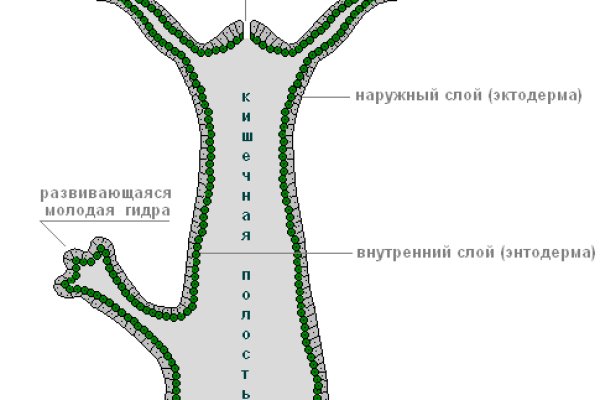 Кракен сайт даркнет маркет